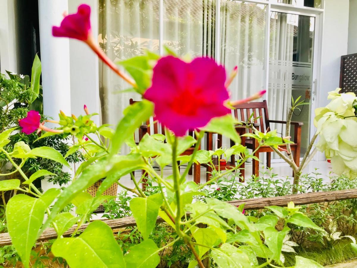 Sunlight Bungalow フーコック エクステリア 写真