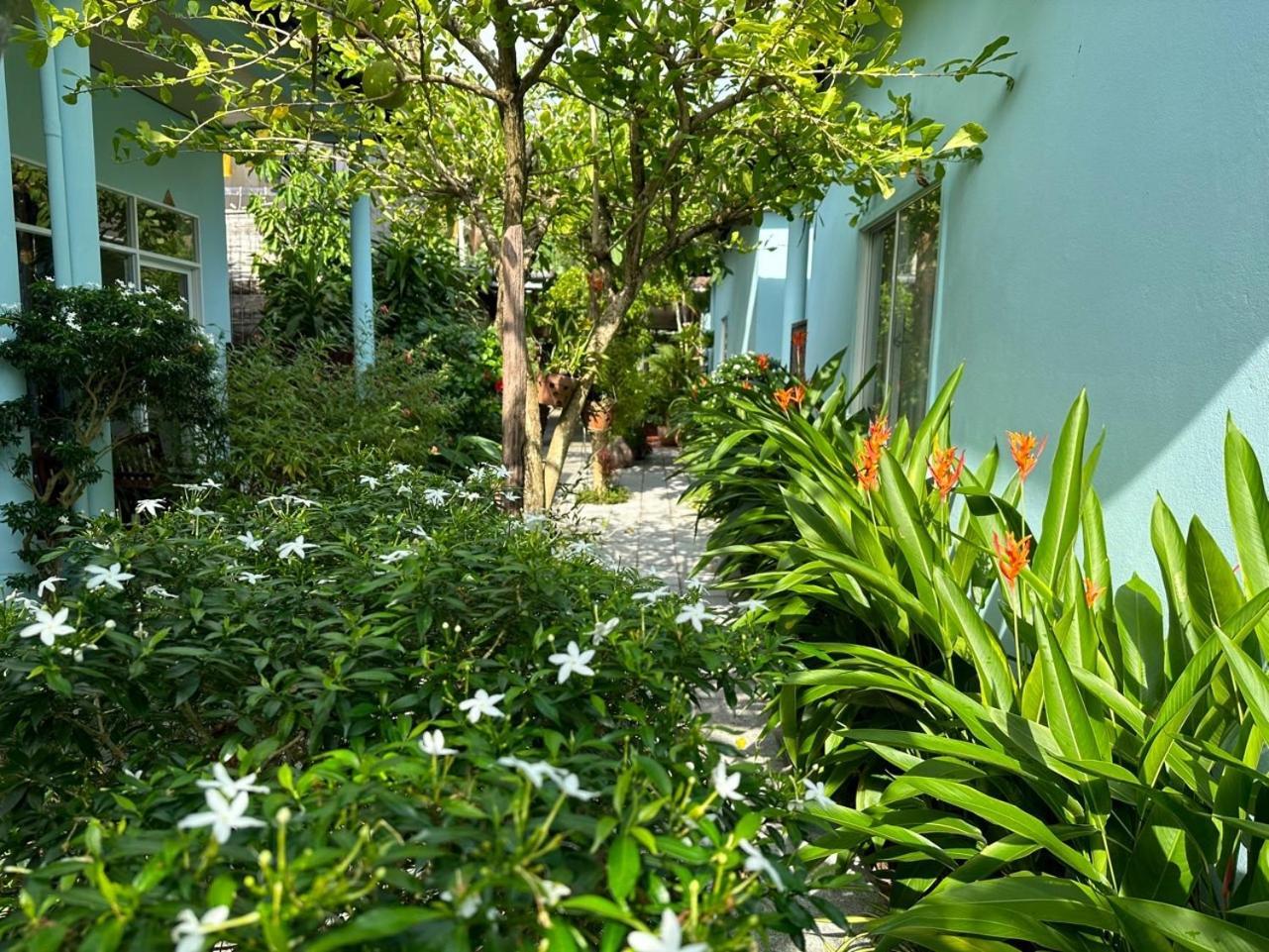 Sunlight Bungalow フーコック エクステリア 写真